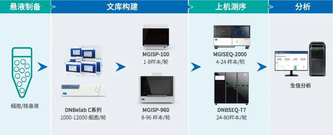新品|华大智造单细胞利器DNBelab C4开启规模化单细胞研究新时代-肽度TIMEDOO