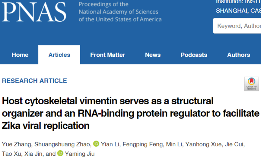PNAS | 中国科学院上海巴斯德研究所酒亚明课题组揭示宿主细胞中间丝在寨卡病毒感染中的双重作用