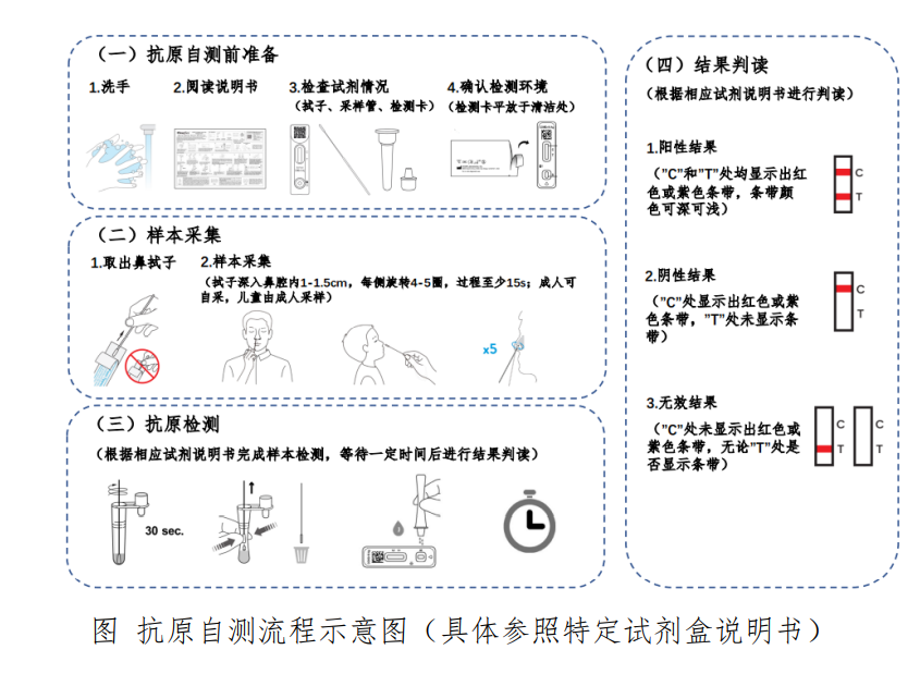首批新冠抗原自测产品上市！什么是抗原检测？与核检有何区别？详解来了……-肽度TIMEDOO