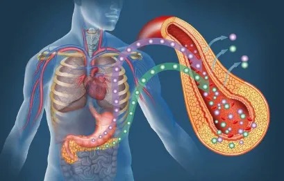 华中科大新研究提出治疗胰腺癌新策略