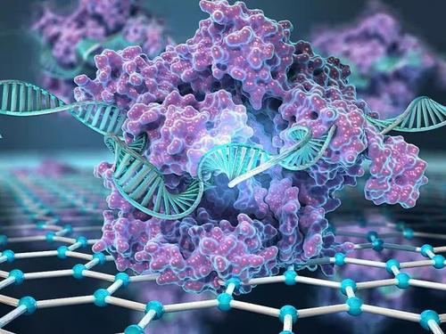 基因扩增（PCR）检验技术人员能力提升网络培训班火热报名