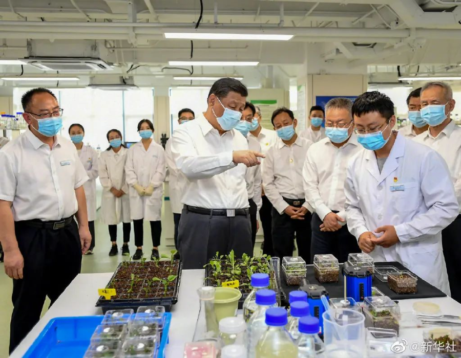 总书记考察的崖州湾种子实验室里，华大智造生命科技核心设备在全面支撑做强农业“芯片”