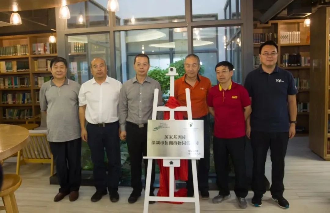 真·铁树开花丨战胜恐龙存活至今,它的完整基因组图谱首次发布-肽度TIMEDOO