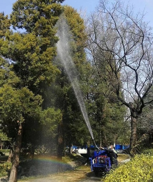 22.jpg 花粉过敏是“会呼吸的痛”:有第一次,伴随终生-肽度TIMEDOO
