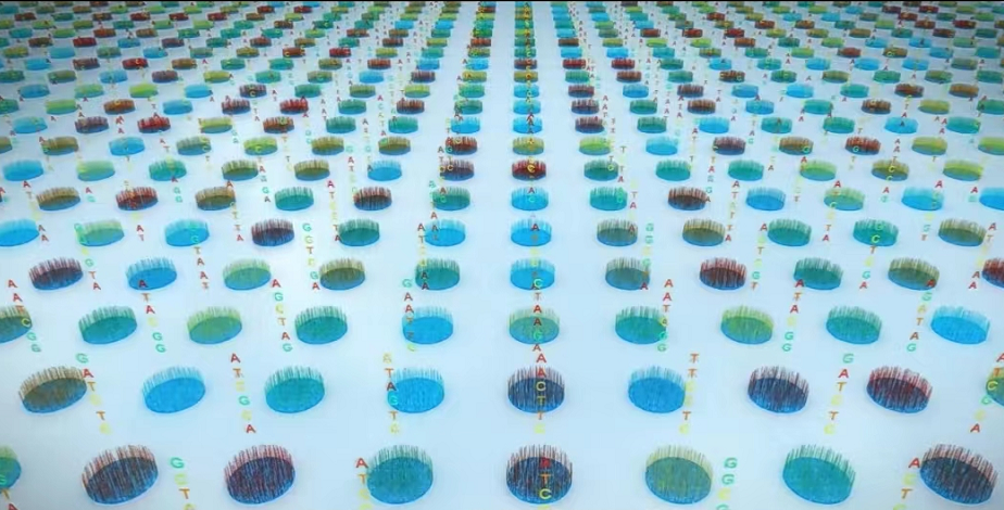 Cell专题！华大等机构实现首批生命全景地图绘制，时空组学联盟首期成果开启生命研究新领域-肽度TIMEDOO