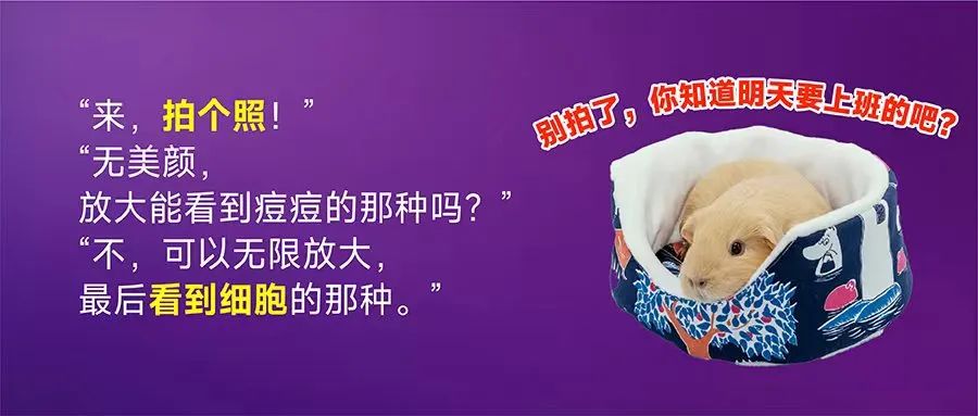 Cell专题！华大等机构实现首批生命全景地图绘制，时空组学联盟首期成果开启生命研究新领域-肽度TIMEDOO