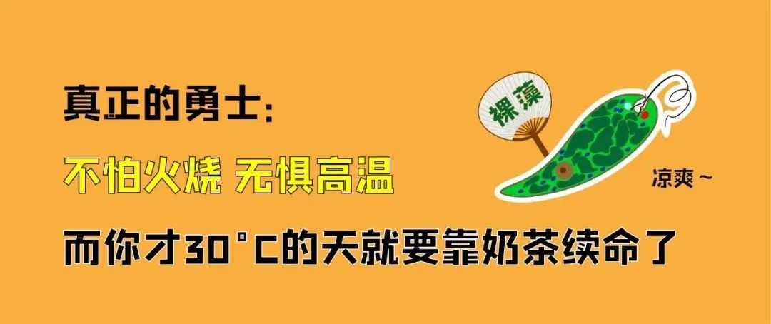 华大解析超级生命力：活着纯靠“裸奔”，为什么还能抵抗90℃高温？-肽度TIMEDOO