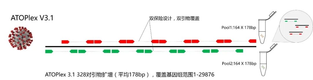 华大智造测序平台助力国内发现首例“Omicron BA.5”变异株-肽度TIMEDOO