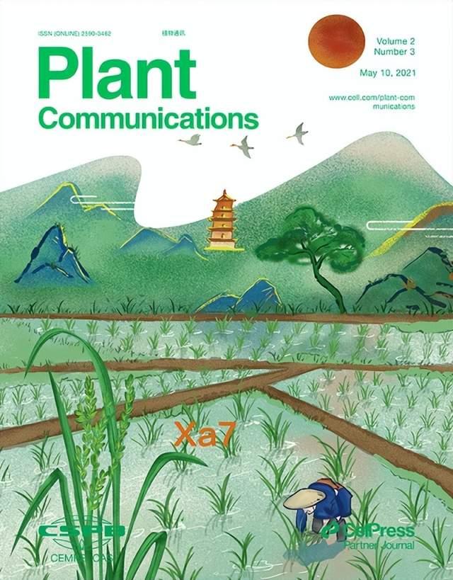 中国科研团队主办植物科学研究类期刊跃居全球第一-肽度TIMEDOO