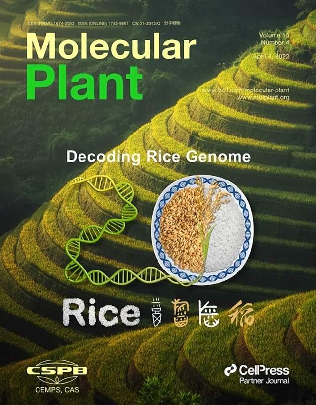 中国科研团队主办植物科学研究类期刊跃居全球第一-肽度TIMEDOO