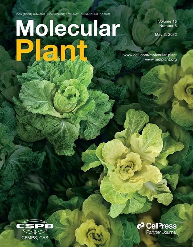中国科研团队主办植物科学研究类期刊跃居全球第一-肽度TIMEDOO