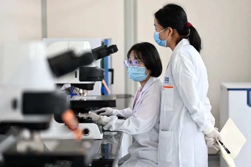 全球首个时空多组学病理研究中心落地重庆-肽度TIMEDOO