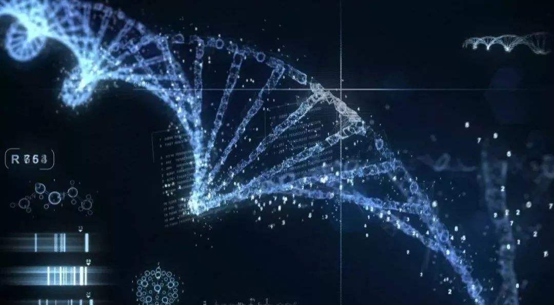 DNA重组广泛存在人类基因组中，并与发育和疾病有关