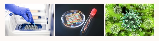 双十之年，聚势启航，analytica China 2022 观众预登记火热开启！-肽度TIMEDOO