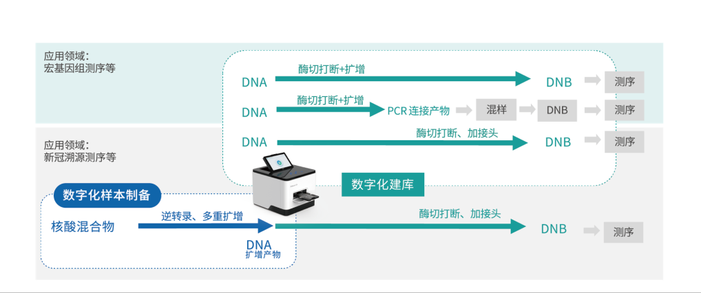 1658730318972708.png 一卡建库,集成定量!华大智造重磅发布DNBelab-D4数字化样本制备系统-肽度TIMEDOO