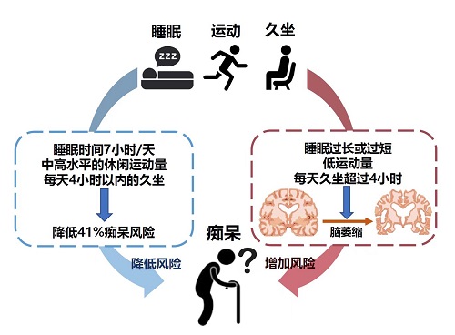 保姆级预防痴呆“电子处方”来了