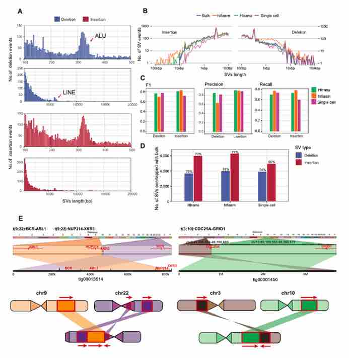 Nucleic Acids Research | 汤富酬课题组实现基于单细胞测序数据的人类基因组从头组装-肽度TIMEDOO