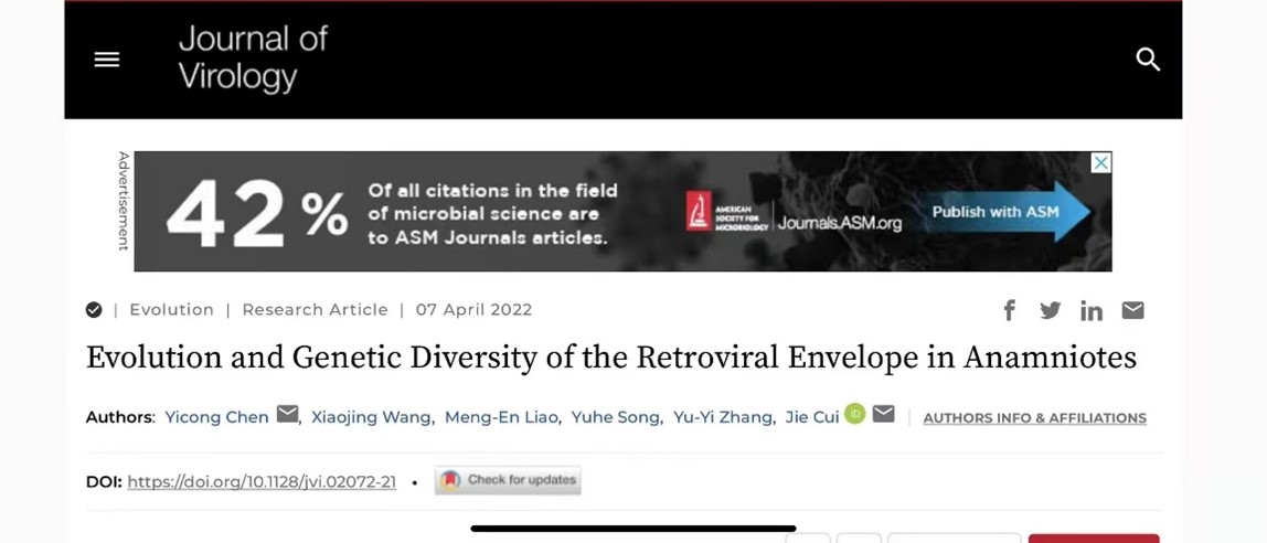 中国科学院上海巴斯德研究所崔杰课题组揭示逆转录病毒包膜蛋白的进化历程和遗传多样性-肽度TIMEDOO