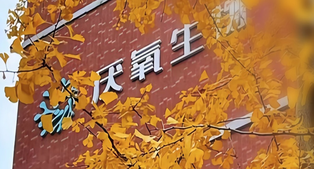 厌氧生物完成亿元A轮融资，道彤投资等机构领投