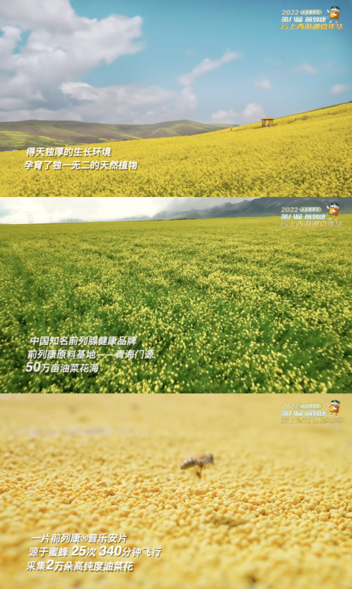 20220902145019_944451662101419.png 第八届前列康云上青海湖嘉年华圆满收官,玩转元宇宙新体验!-肽度TIMEDOO