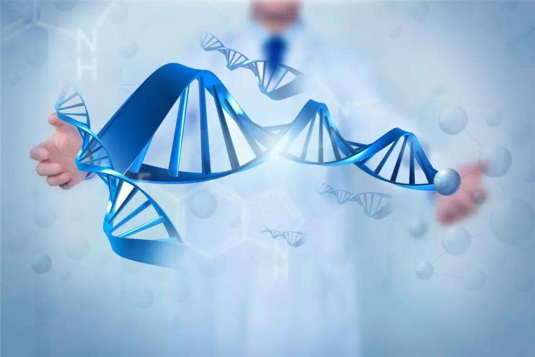 因美纳携手GenoScreen开展合作，提升耐多药结核病基因检测的可及性