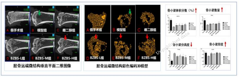 八子补肾抗衰新发现:调节SIRT6增加蛋白活力-肽度TIMEDOO