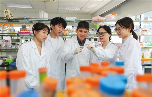 谁是血红素“物流”中的搬运工？ 科学家揭示细胞内血红素转运的重要机制