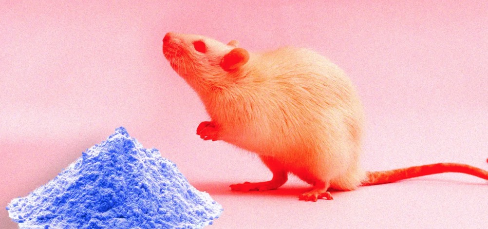 科学家发现了一种控制老鼠吸食可卡因程度的方法