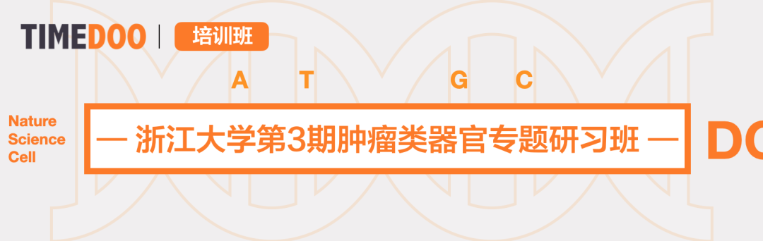 12月15日-18日|浙江大学第3期肿瘤类器官专题研习班招生中（名额有限）-肽度TIMEDOO