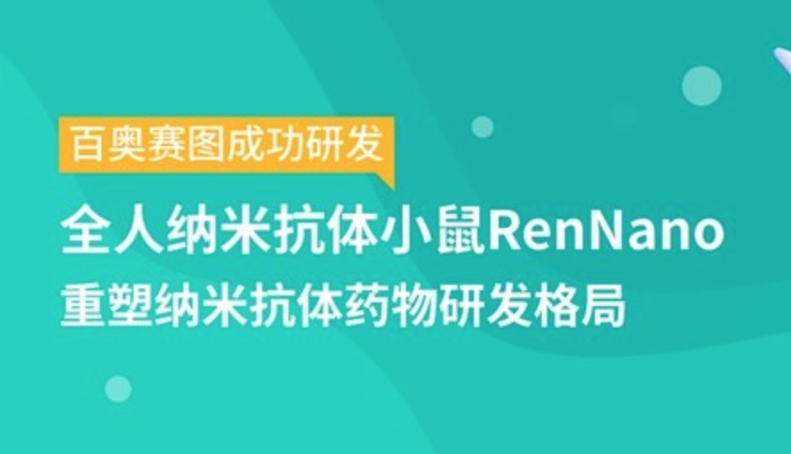 百奥赛图成功研发全人纳米抗体小鼠RenNano