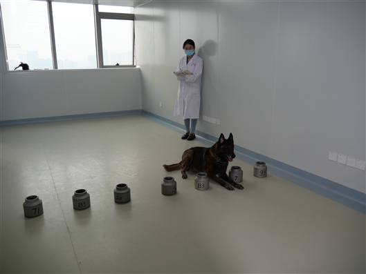 闻“香”识帕金森病 中南大学湘雅医院研究者首次发现犬可辅助嗅辨帕金森病-肽度TIMEDOO