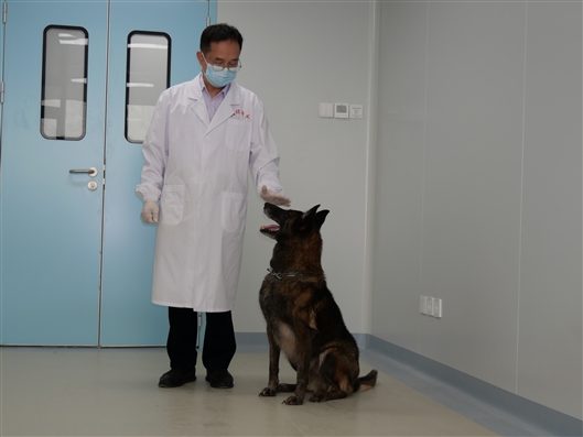 闻“香”识帕金森病 中南大学湘雅医院研究者首次发现犬可辅助嗅辨帕金森病-肽度TIMEDOO