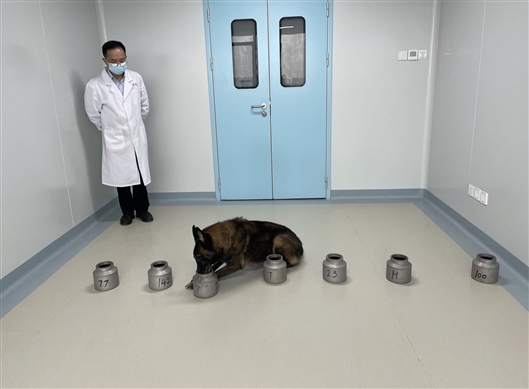 闻“香”识帕金森病 中南大学湘雅医院研究者首次发现犬可辅助嗅辨帕金森病-肽度TIMEDOO