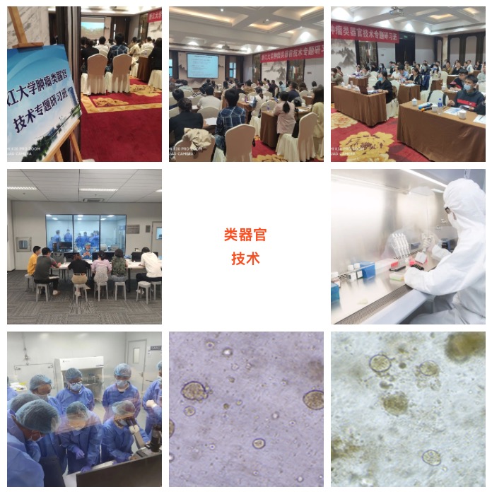 12月15日-18日|浙江大学第3期肿瘤类器官专题研习班招生中（名额有限）-肽度TIMEDOO
