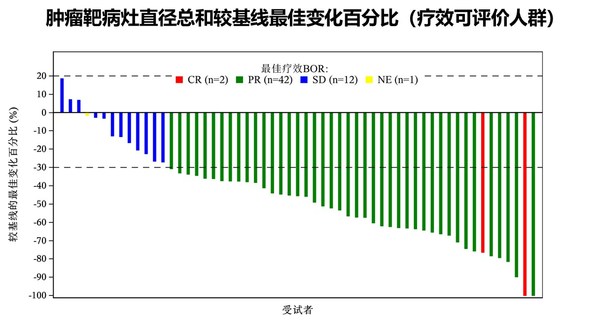 77.2%患者达到客观缓解，齐鲁组合抗体新药QL1706治疗宫颈癌II期结果公布