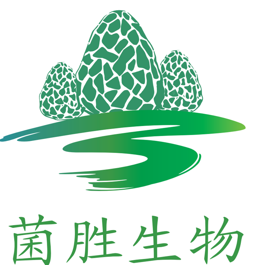 不止构想,更是未来 | 2022华大智造&IDG资本生命健康加速营精彩结营-肽度TIMEDOO