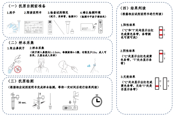 国务院印发新冠病毒抗原检测应用方案-肽度TIMEDOO