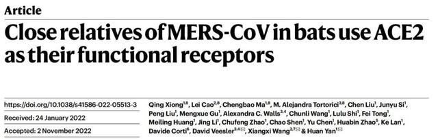 武大病毒学最新研究:首次揭示蝙蝠MERS相关冠状病毒受体-肽度TIMEDOO