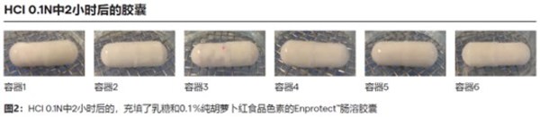 12月27日 龙沙推出新型肠溶胶囊 2 龙沙推出新型肠溶胶囊 -- 用于酸敏感APIs的肠道给药-肽度TIMEDOO