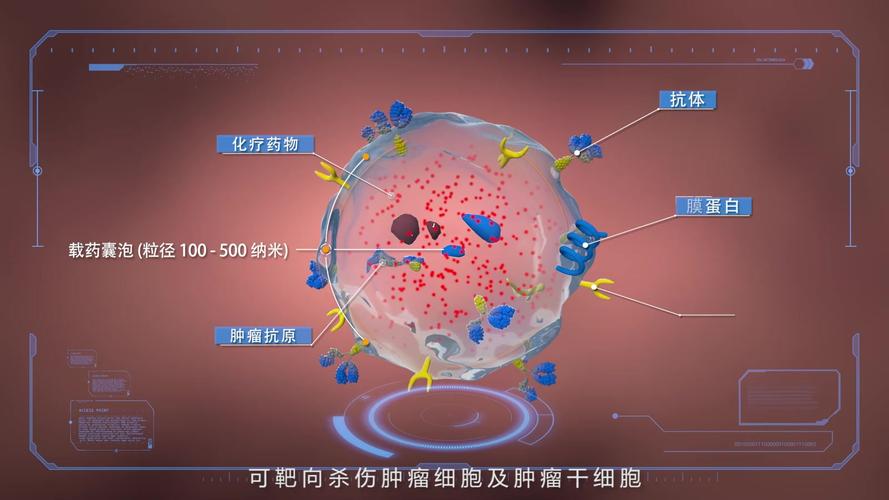 科学家揭示载药囊泡抗肿瘤作用新机制