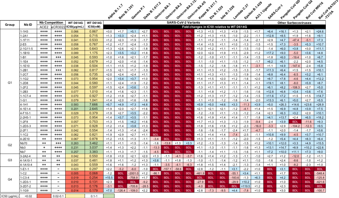 科研成果 | 张林琦、王新泉团队发现广谱高效新冠病毒纳米抗体-肽度TIMEDOO