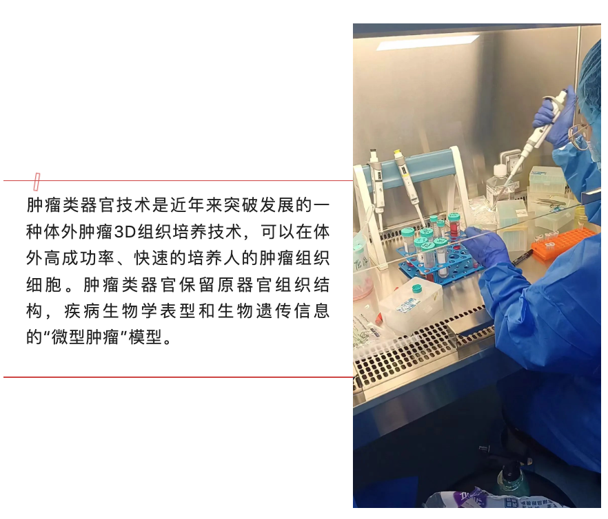 2023年3月30日-4月2日|浙江大学第4期肿瘤类器官专题研习班(名额有限)-肽度TIMEDOO