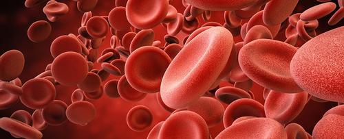 造血干细胞移植持续缓解HIV-1