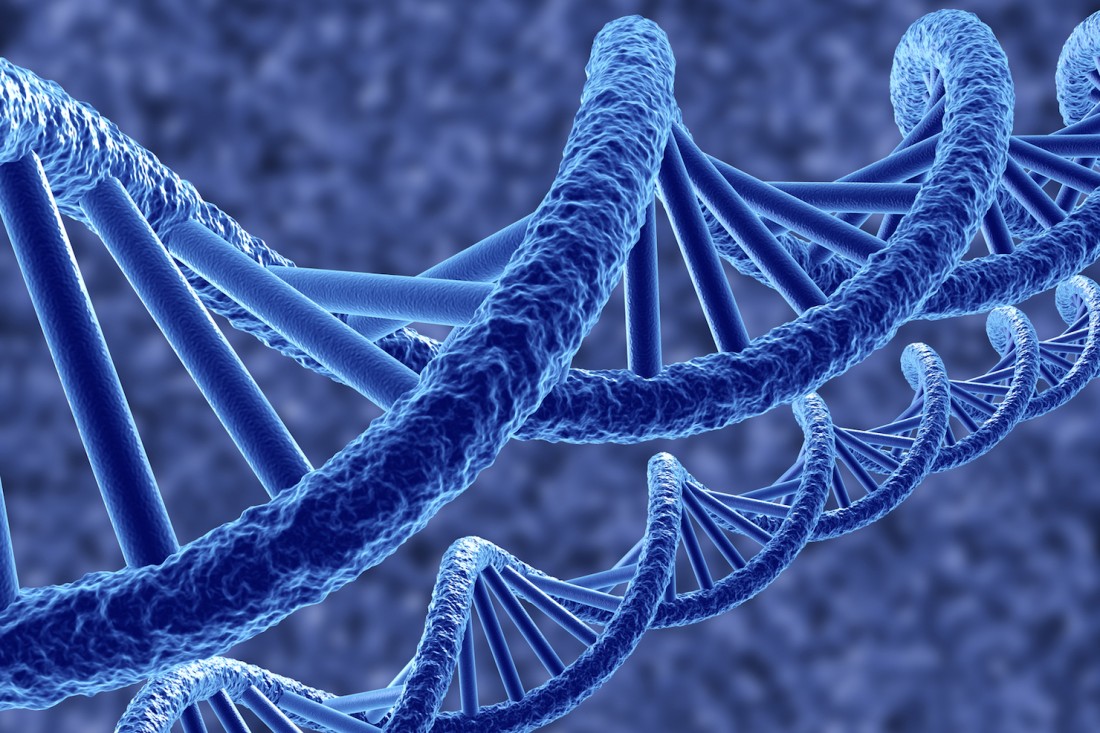 DISCOVERY LIFE SCIENCES加速基因组研究