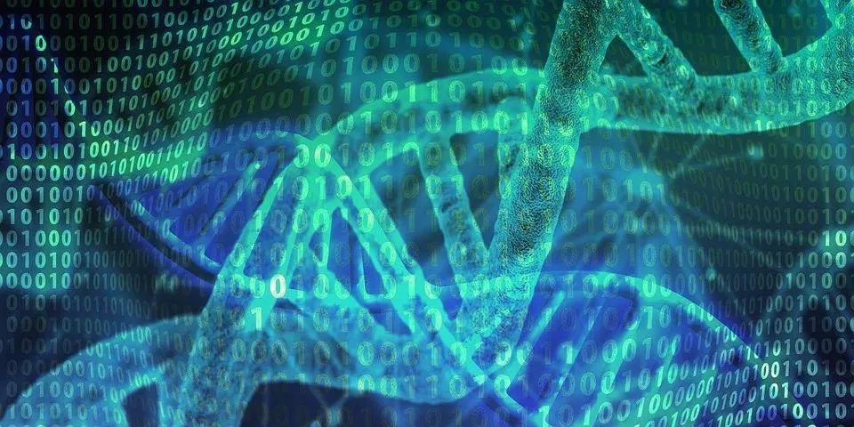 超80位科技领袖北京集结!这次我们的命题是科技创新的“终极目标”-肽度TIMEDOO