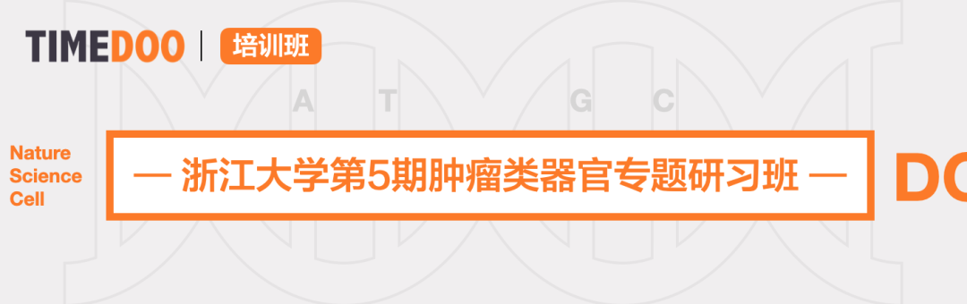 2023年6月8-11日|浙江大学第5期肿瘤类器官专题研习班（名额有限）-肽度TIMEDOO