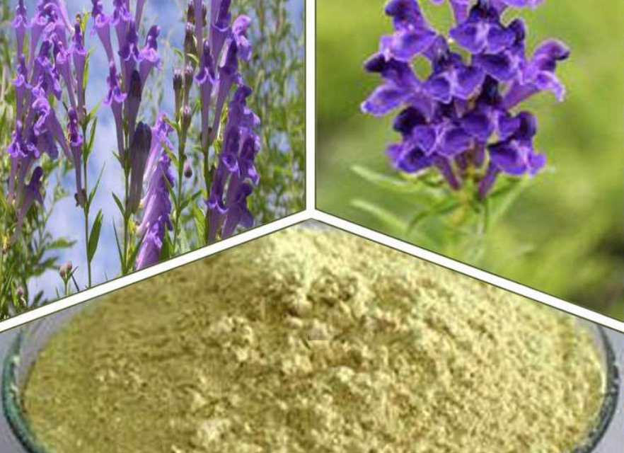 科学家首次阐明黄芩素抑癌抗癌的分子机制