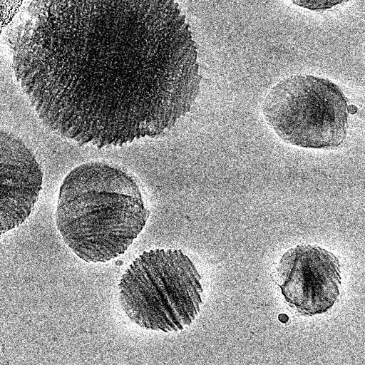 科学家研究改进现有抗生素的聚合物配方-肽度TIMEDOO