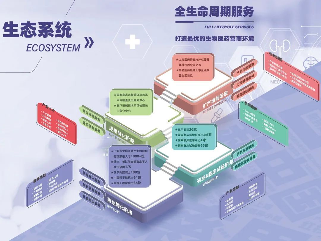 【解读】《上海市生物医药产业投资指南》(2023版)正式发布-肽度TIMEDOO