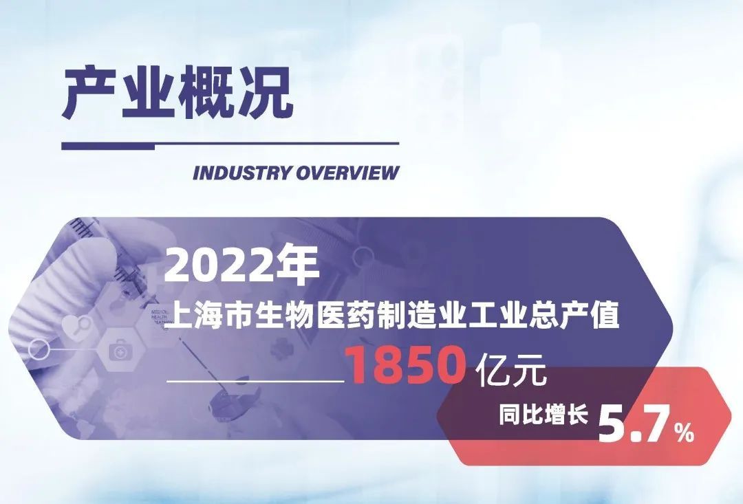 【解读】《上海市生物医药产业投资指南》(2023版)正式发布-肽度TIMEDOO
